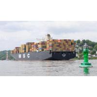 7368 Containerschiff MSC INES auf der Elbe vor Hamburg Blankensese | Schiffsbilder Hamburger Hafen - Schiffsverkehr Elbe